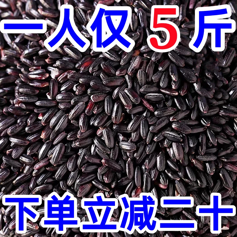 5斤仅20.9】东北黑米新米黑龙江农家自产黑大米五谷杂粮黑香米批发