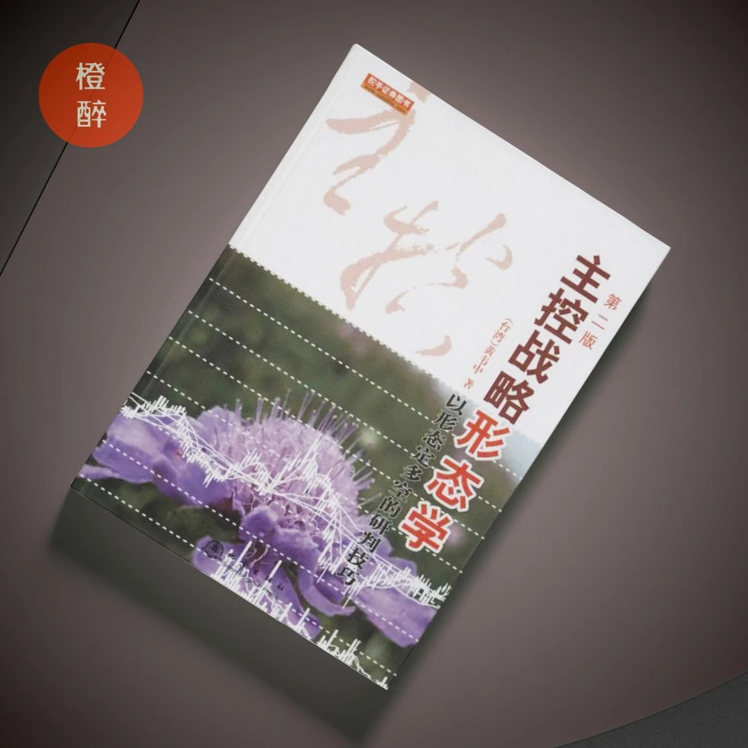 主控战略形态学：以形态定多空的研判技巧（第二版）股票