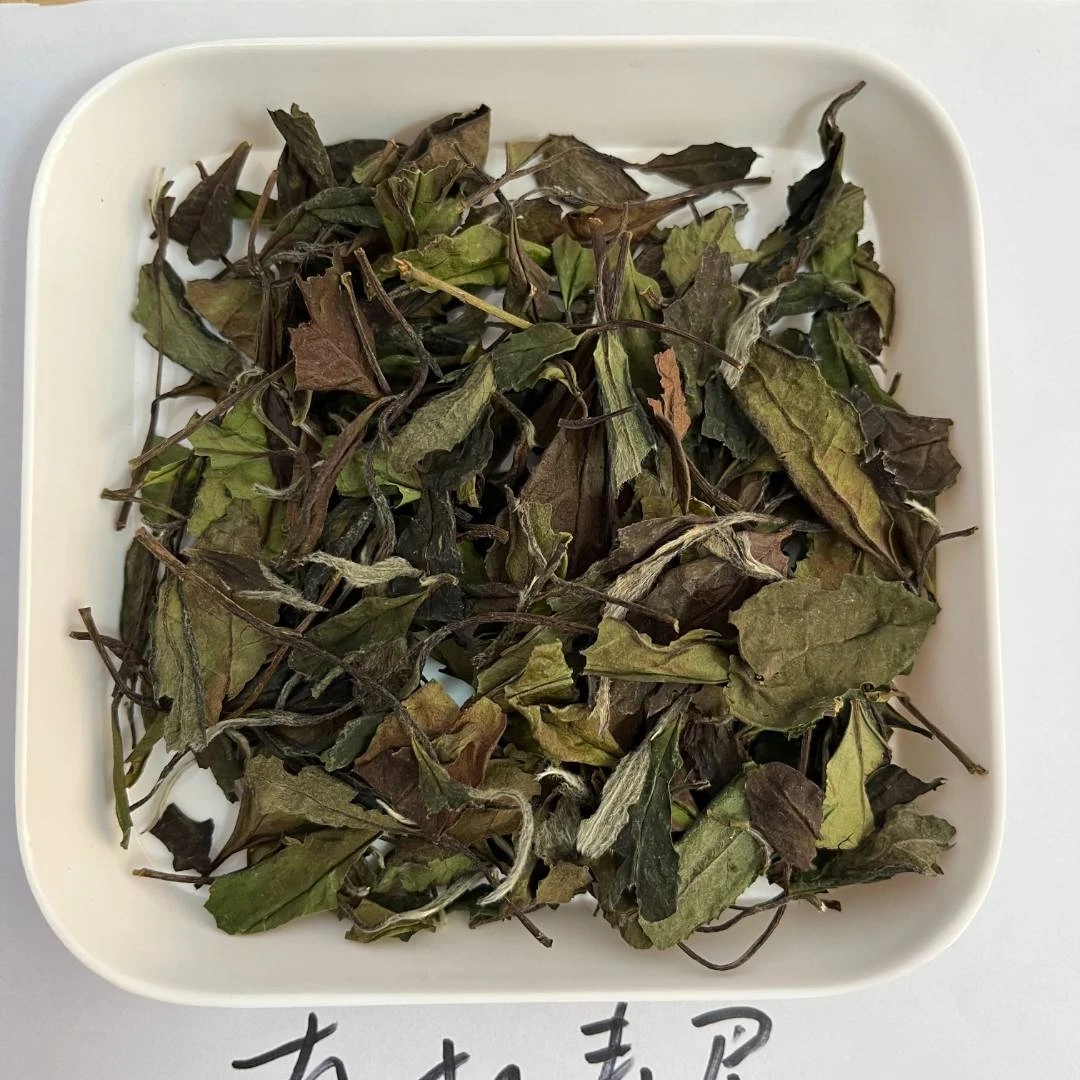 【大吉寿】荒野寿眉（磻溪高山）