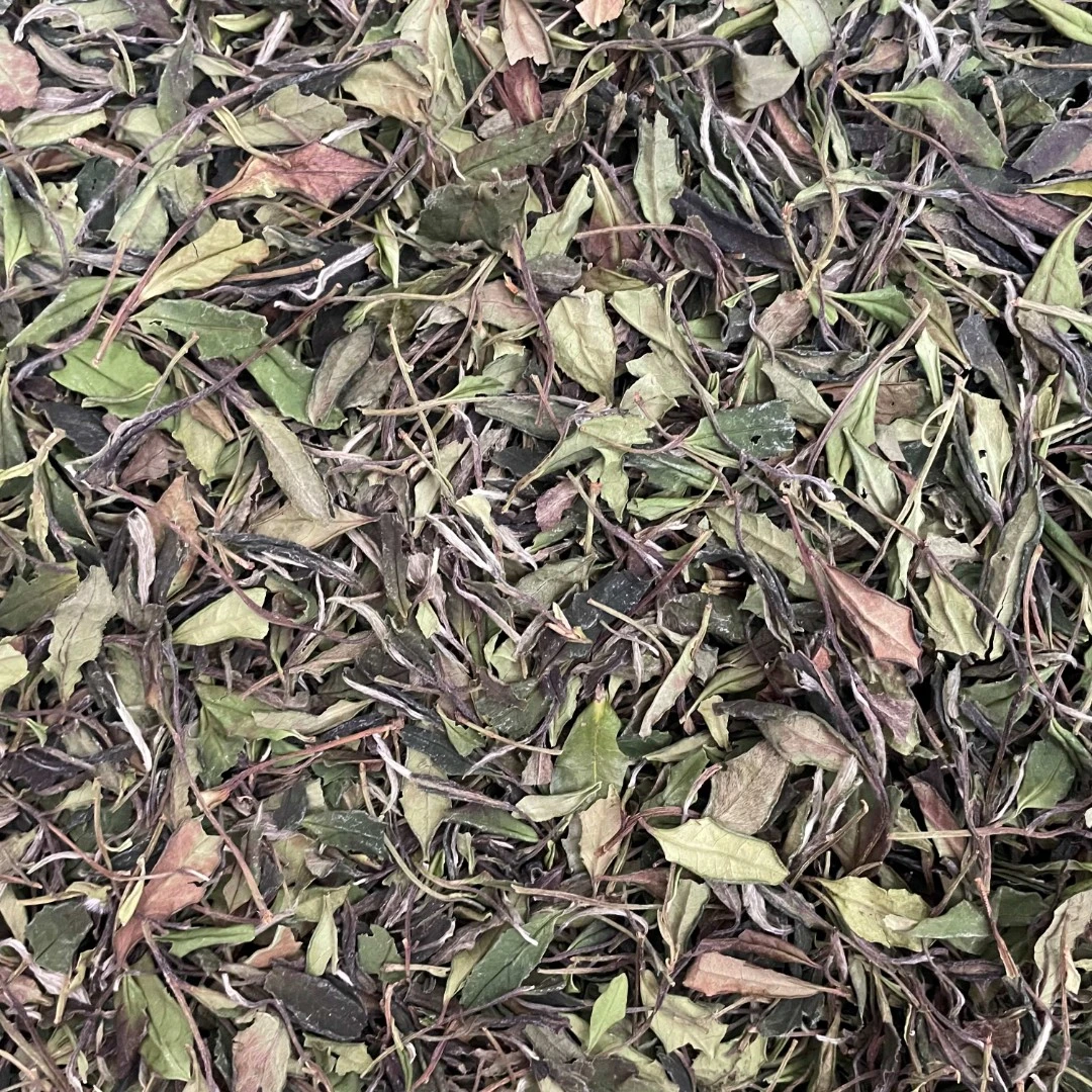 【土菜茶】福鼎磻溪土菜茶
