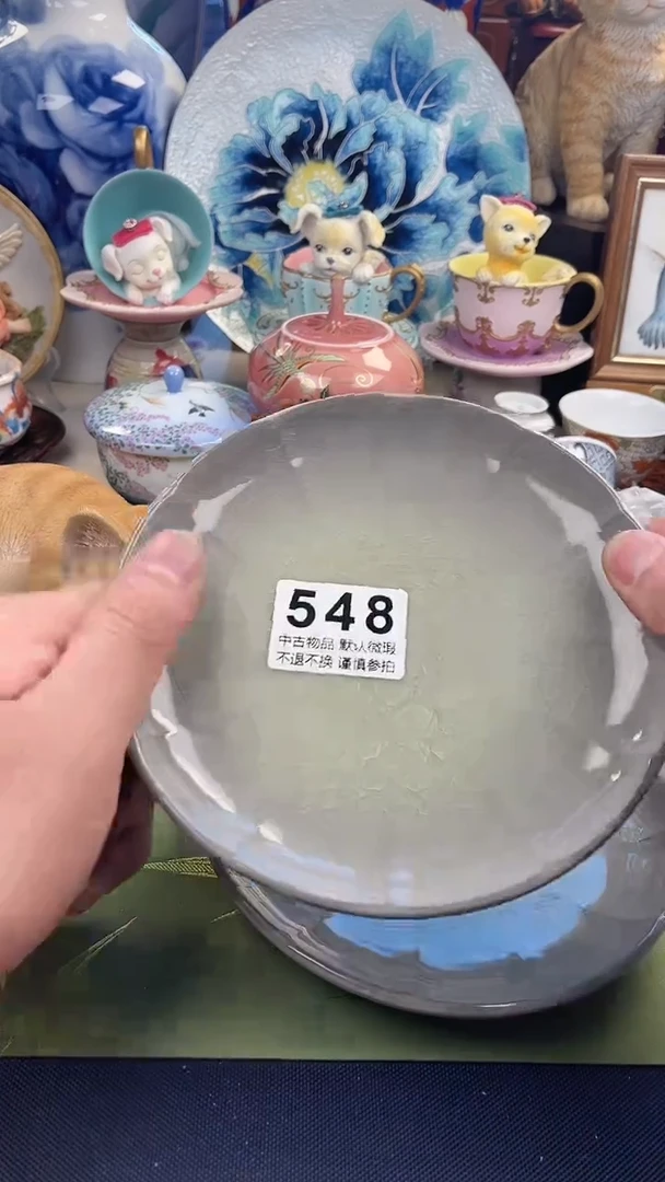 【闪购商品】密胺瓷片548