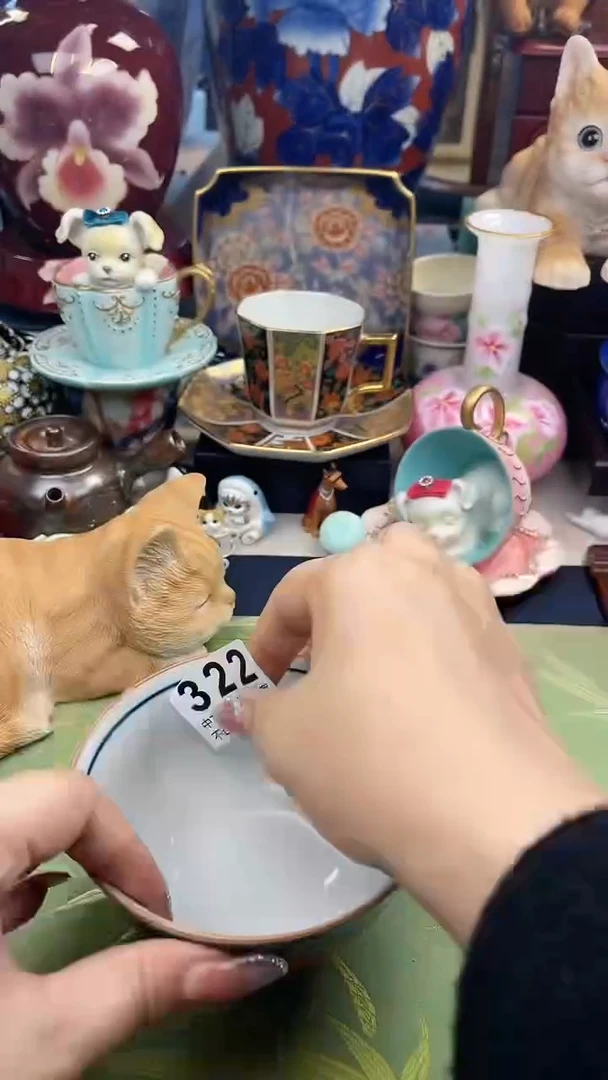 【闪购商品】密胺瓷片322