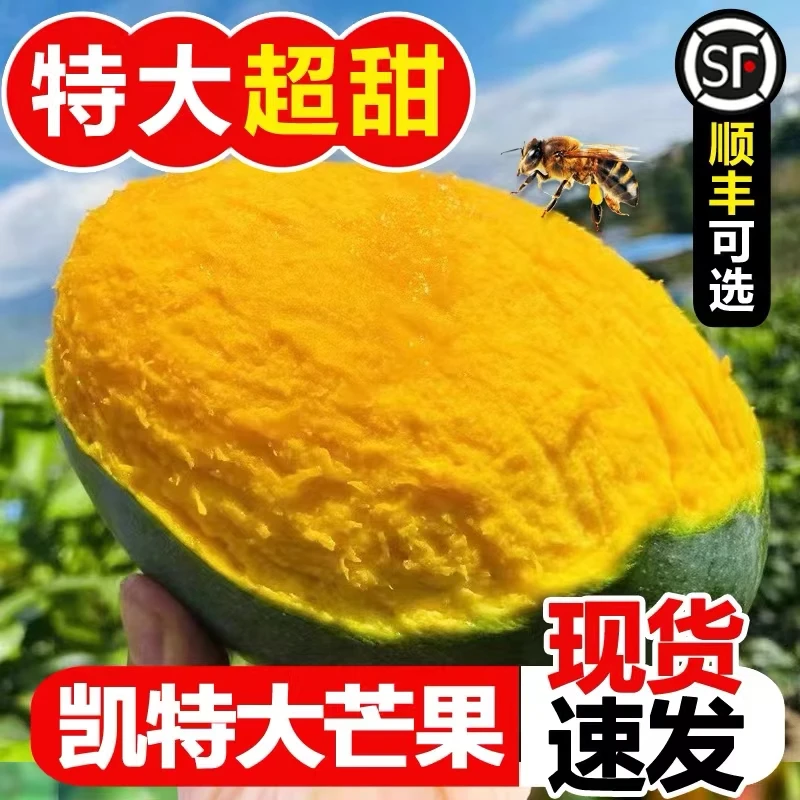 新鲜水果芒果现摘现发