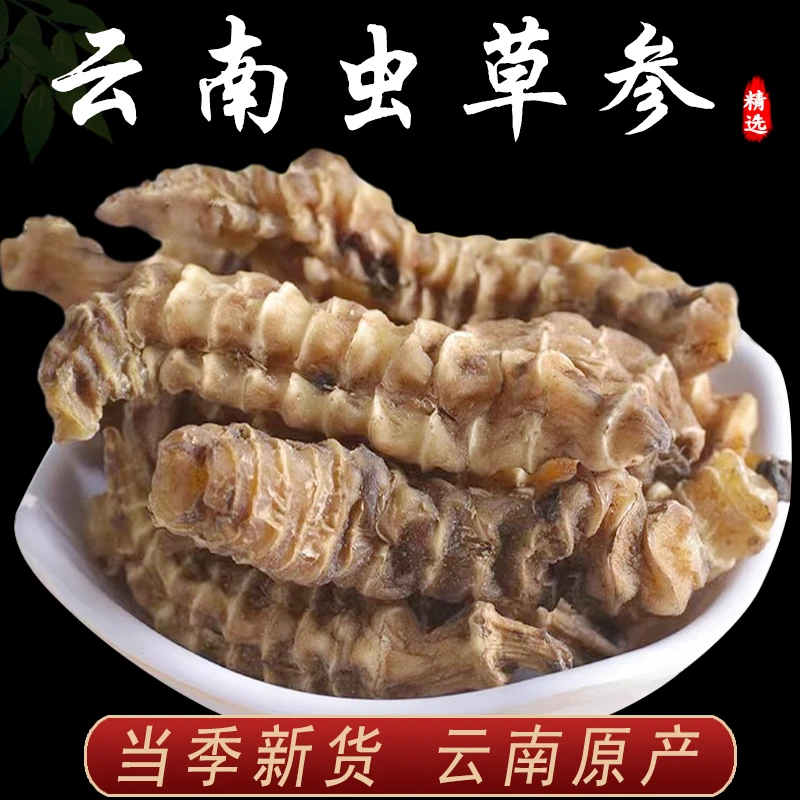 云南虫草参 竹节参地参地蚕子煲汤500克