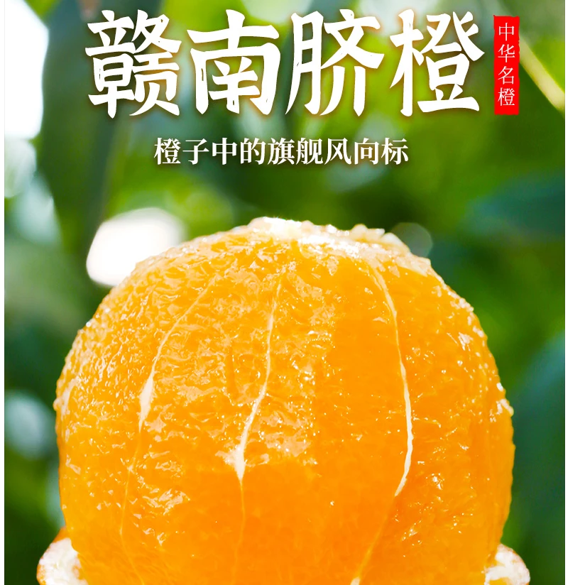 正宗江西赣南脐橙橙子果味浓郁酸甜多汁果园现采产地直发孕妇水果