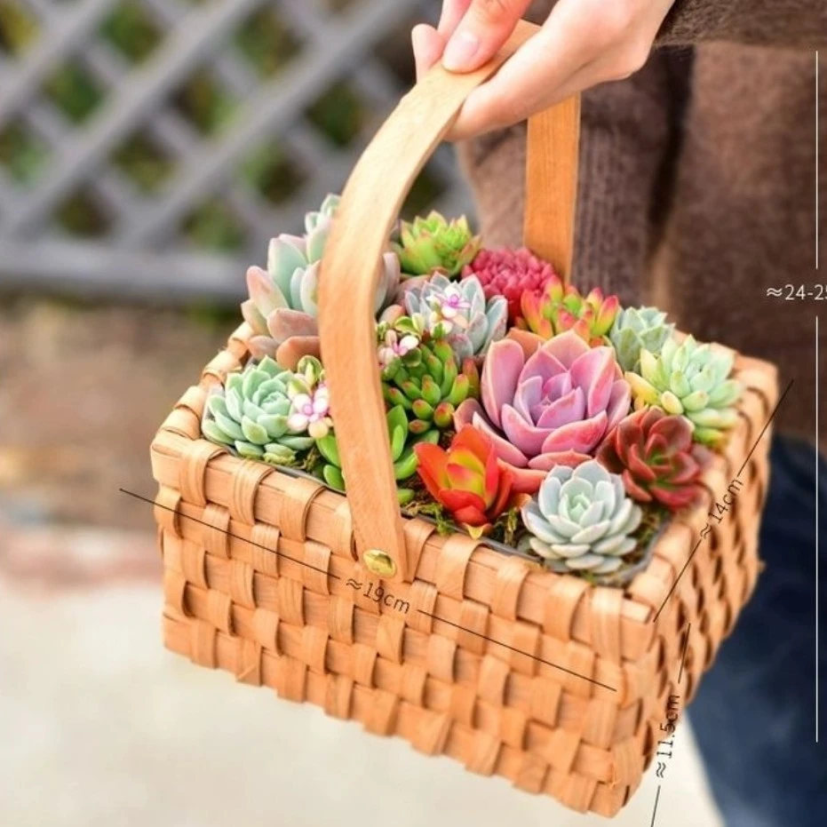 开学季教师节送老师植物盆栽摆件办公室摆件幼儿园植物DIY活动