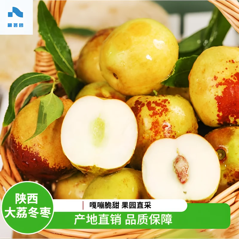 【拉萨包邮】陕西大荔冬枣嘎嘣脆甜当季新鲜果园直发夏季水果尝鲜