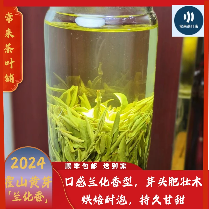 霍山黄芽口感兰化香型，芽头肥壮 木烘焙耐泡，持久甘甜