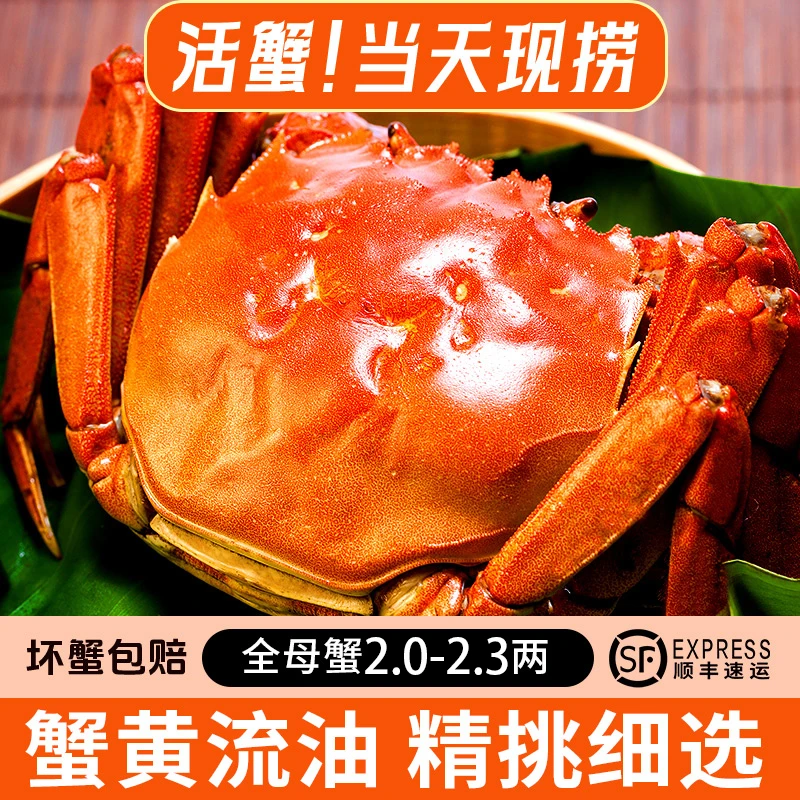 第二件0元【活蟹】精选大闸母蟹全母6只【2.0-2.3两】鲜活冷链运输
