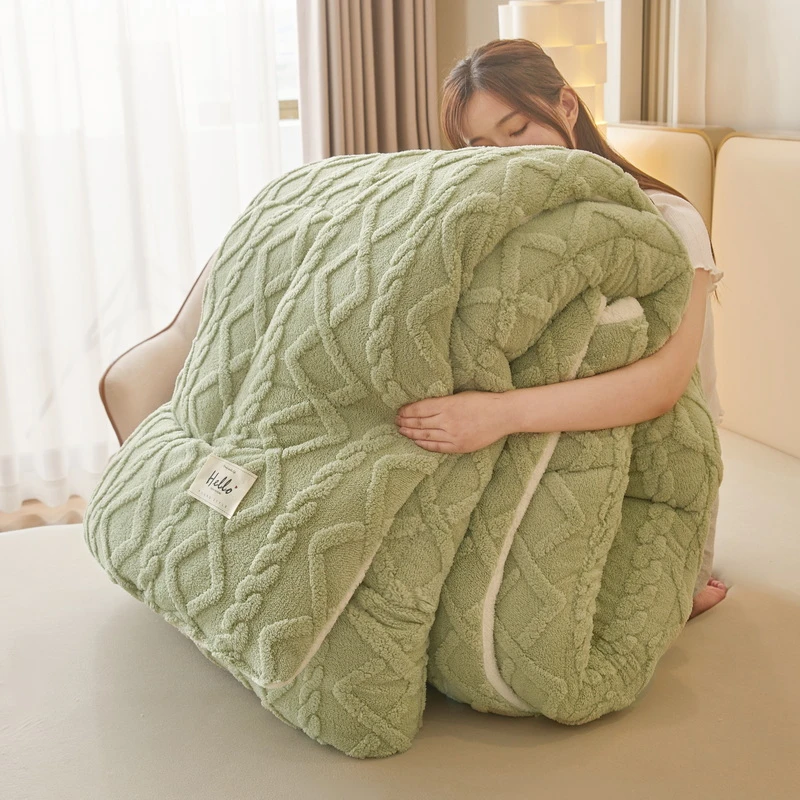 塔芙绒保暖冬被四季被被子被芯大豆被棉被加厚加绒四季被学生宿舍