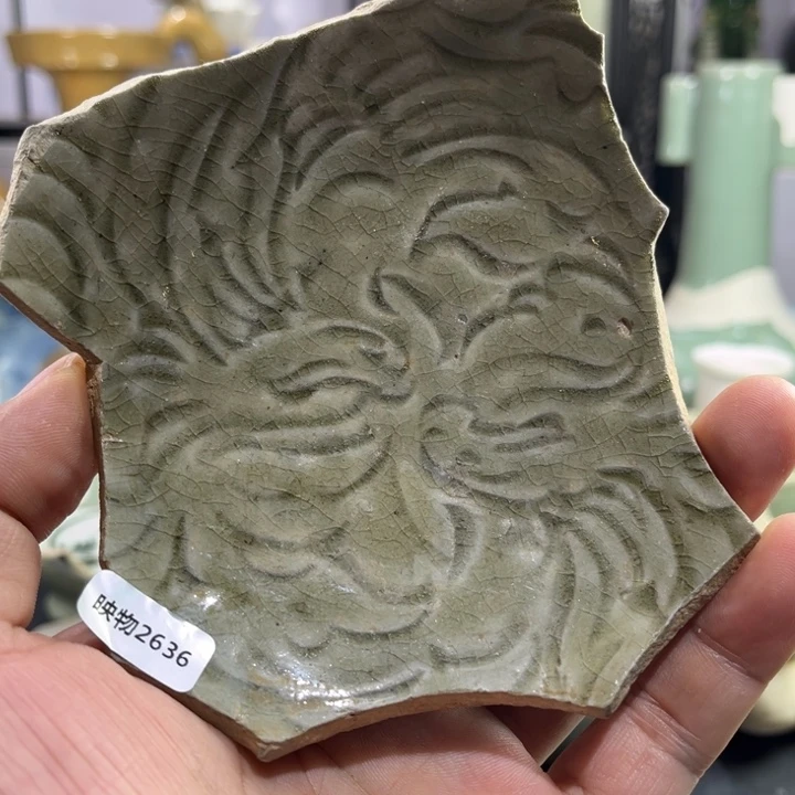 瓷片2636 瓷片学习标本