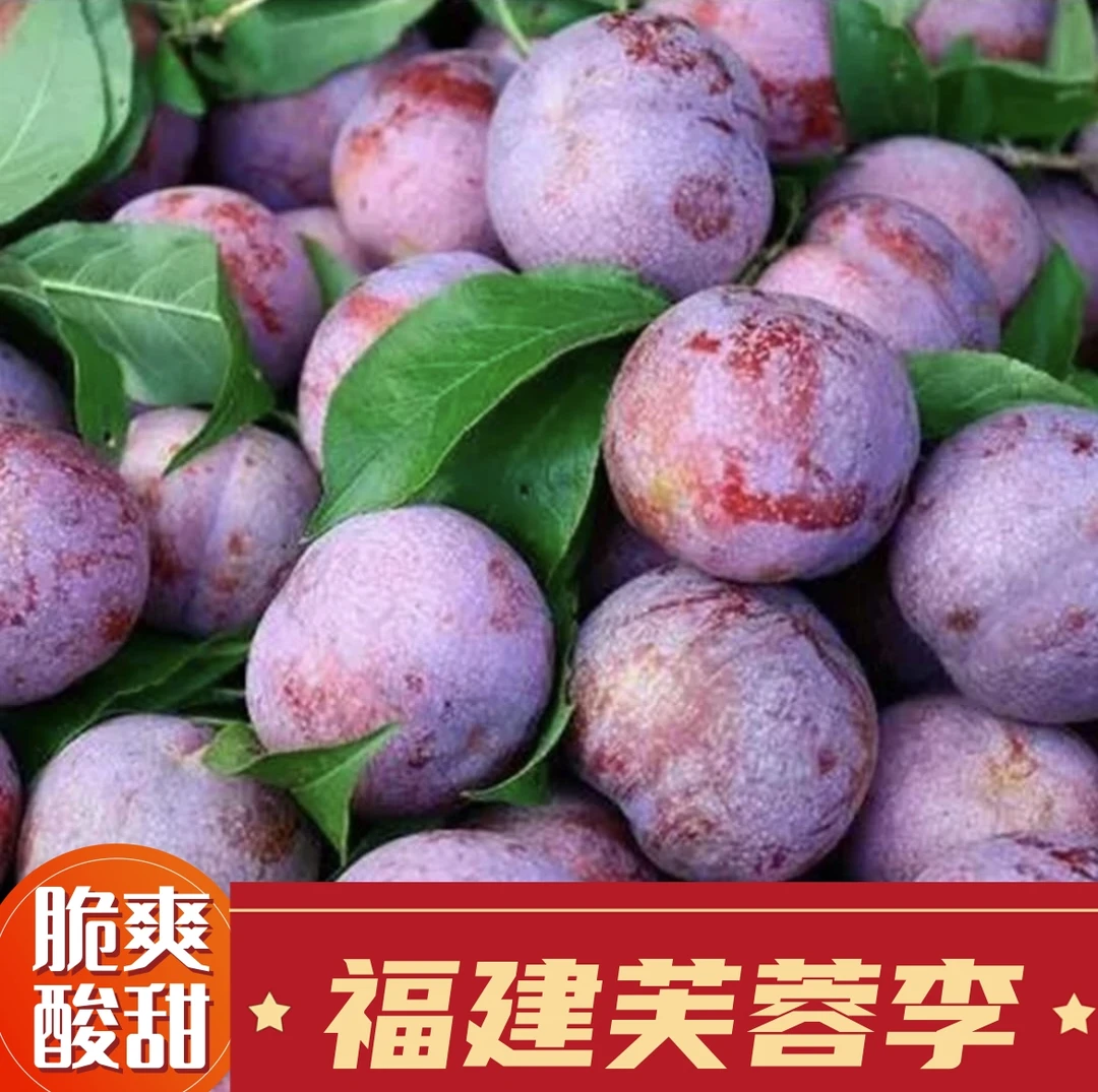 正宗红心红肉芙蓉李果园现摘新鲜大果酸甜多汁非三华李孕妇水果