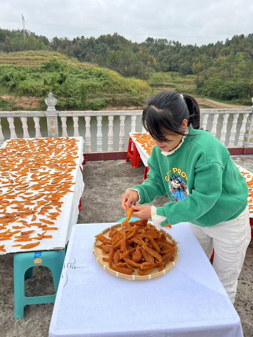 农家】本地农村紫皮黄心红薯晾晒红薯干