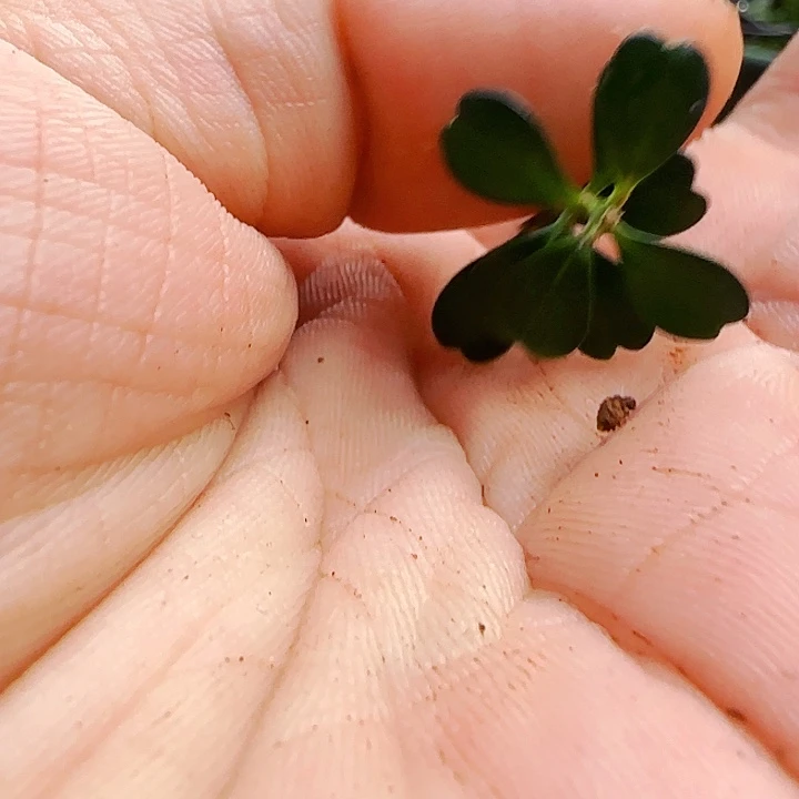 啊啊啊啊啊啊啊啊啊啊啊