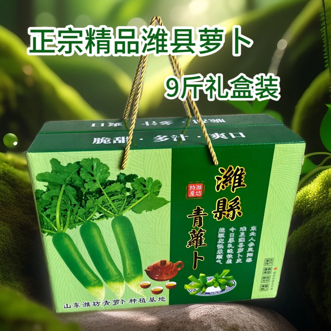 正宗潍县青萝卜9斤精选礼盒新鲜现拔脆甜多汁生吃水果萝卜农产品