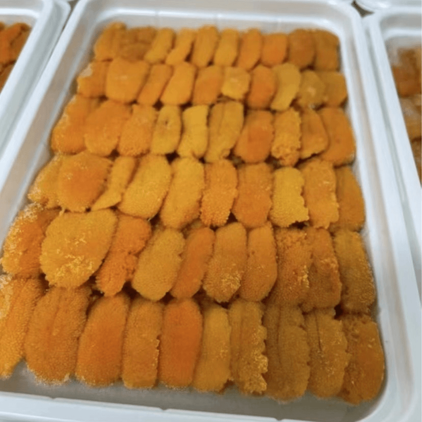 新鲜活剥冷冻海胆肉 4成熟 日料店料理级别食材 100g/盒