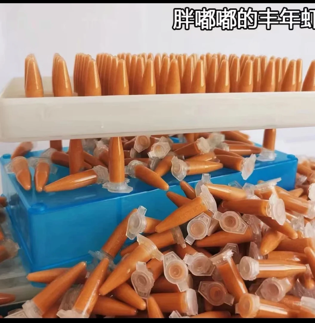 冷冻保鲜无水超浓丰年虾卵小型热带开口高蛋白鱼食