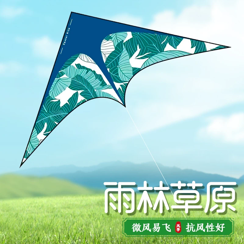 雨林草原面料风筝2024新款成人初学者亲子风筝微风易飞不易损坏