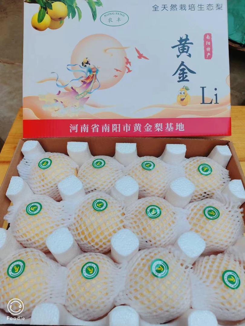 老家河南方城博望黄金梨，我们只卖品质好梨