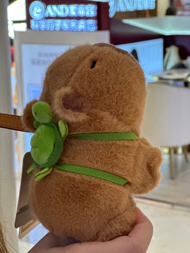 猫仔潮玩毛绒包邮（偏远地区除外）主图为参考（孤品NO退NO换）