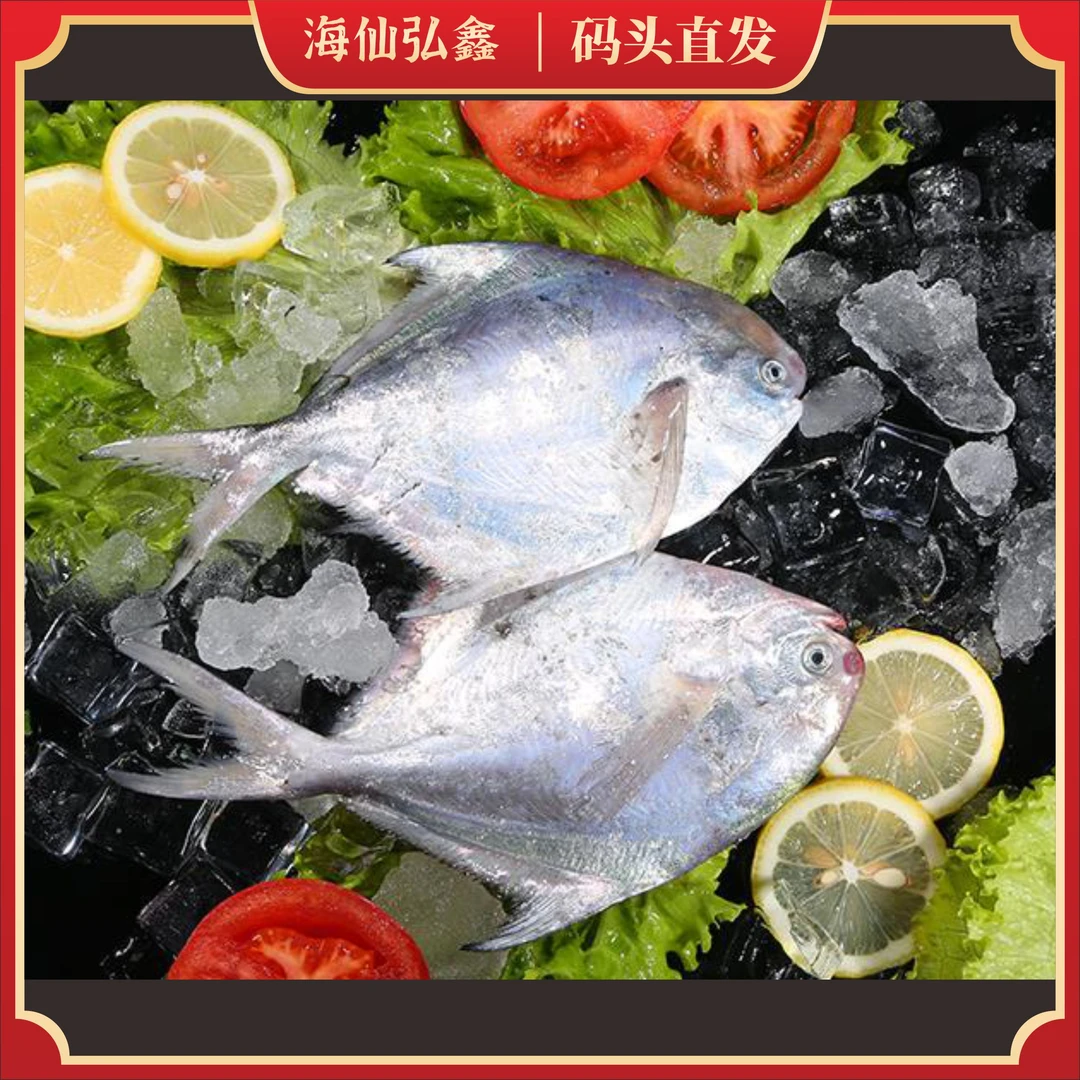 【海鲜弘鑫】舟山东海银鲳鱼 3-5条/斤 真空速冻锁鲜渔场真空包装