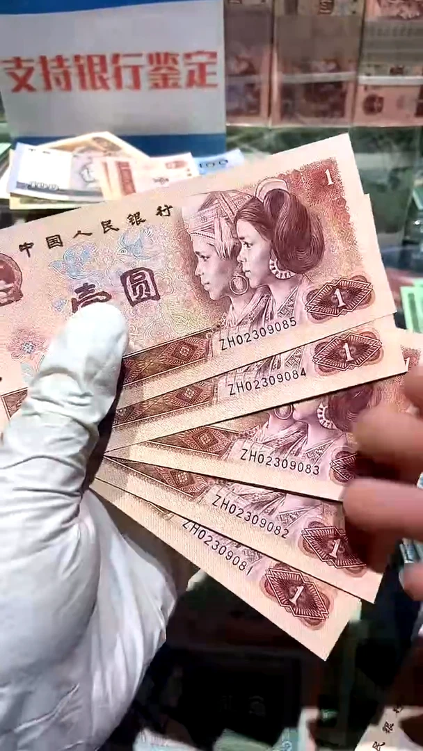 【闪购商品】红金龙补号·············