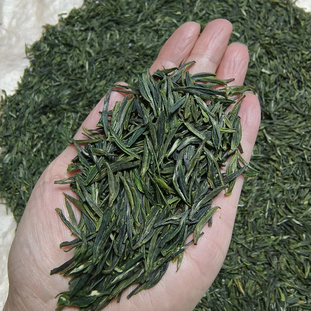 2025新茶涢峰龙井春茶浓香耐泡（安陆特产）