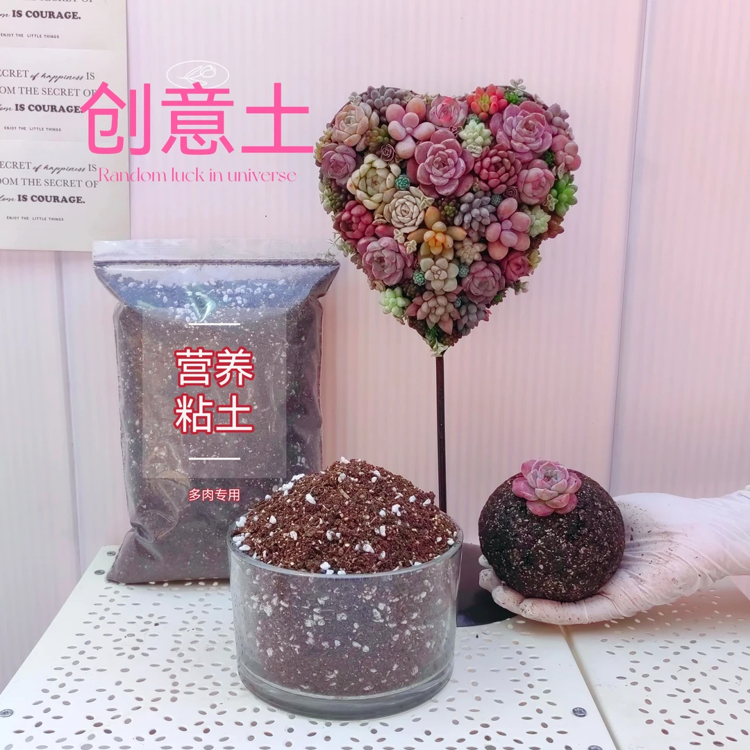 晶晶多肉创意土diy造型粘土 暄软黏土 栽密集立体多肉新型软泥土