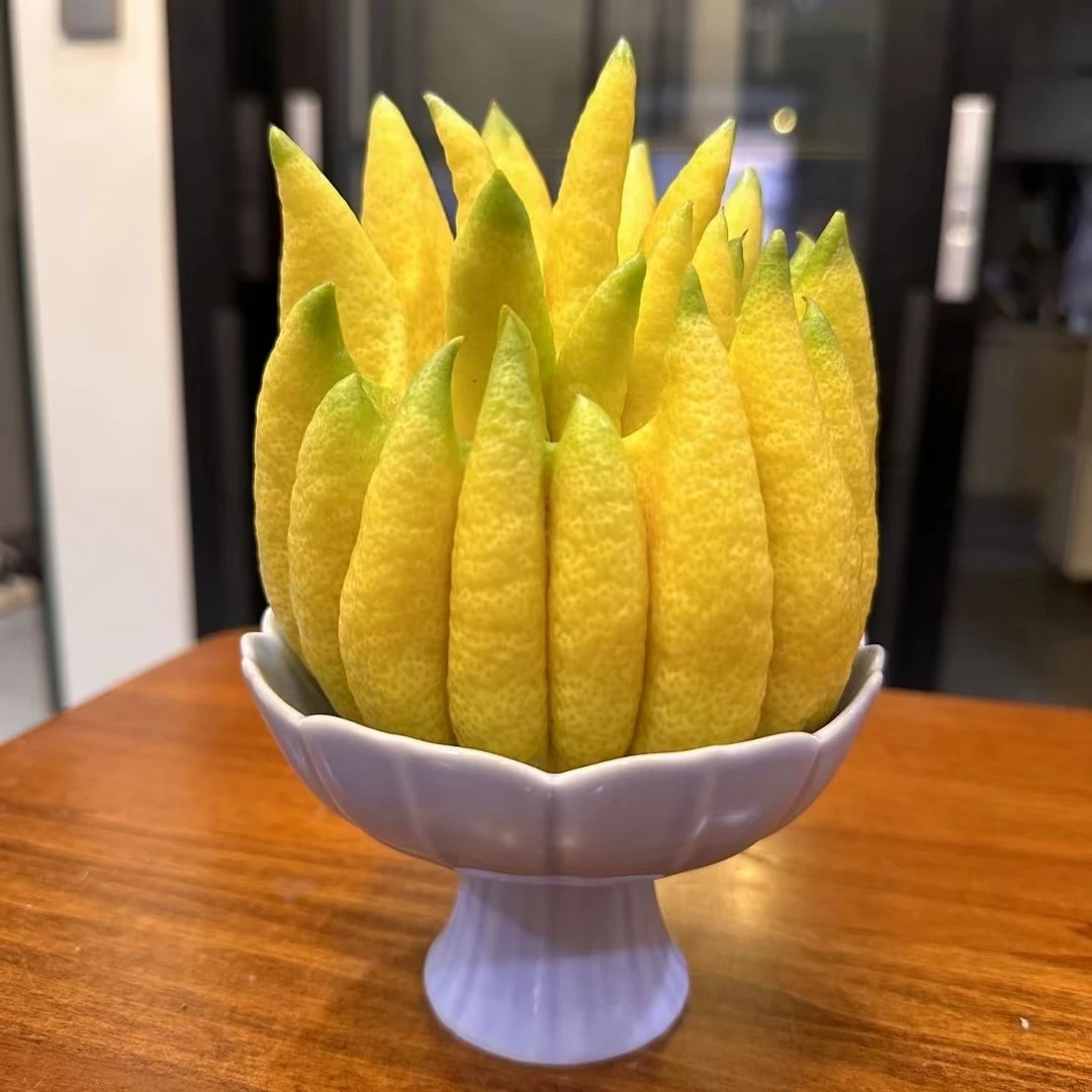 云南佛手花插花清供观赏家居水培清供新鲜随机颜色果形售后7天内