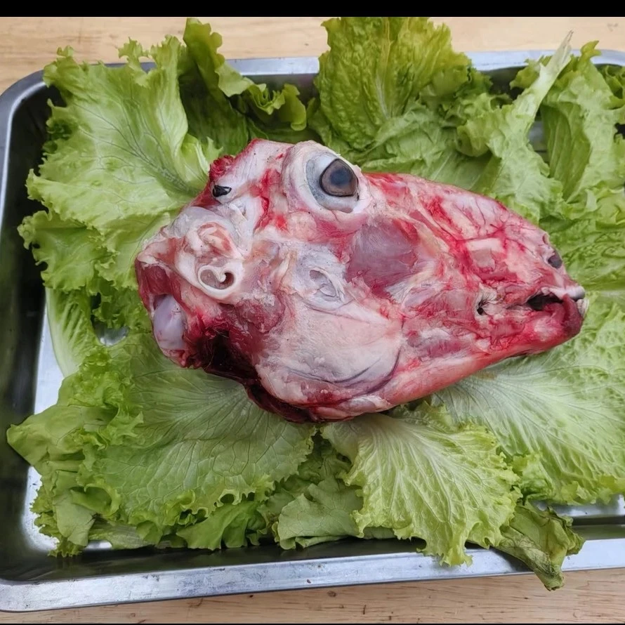 生鲜羊头1个，现宰羔羊，顺丰包邮