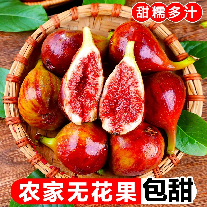 【乡村助农】红皮无花果新鲜现摘糖包子五孕妇水果3斤