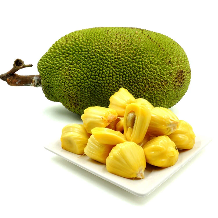果切（整果）越南菠萝蜜1个约10斤