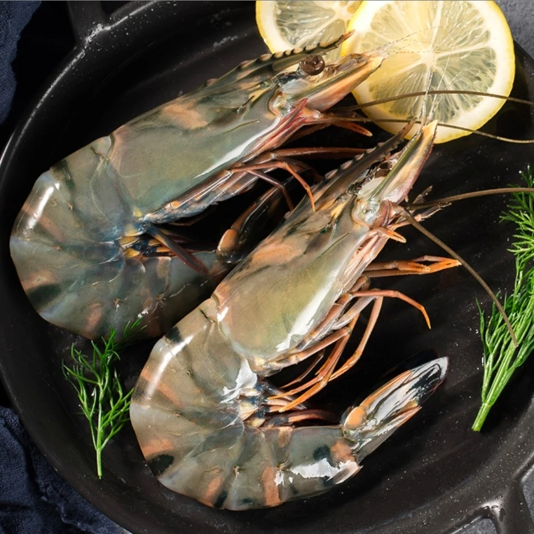 16-20规格特大号黑虎虾速冻锁鲜 一斤8-10只 24-30只/3斤