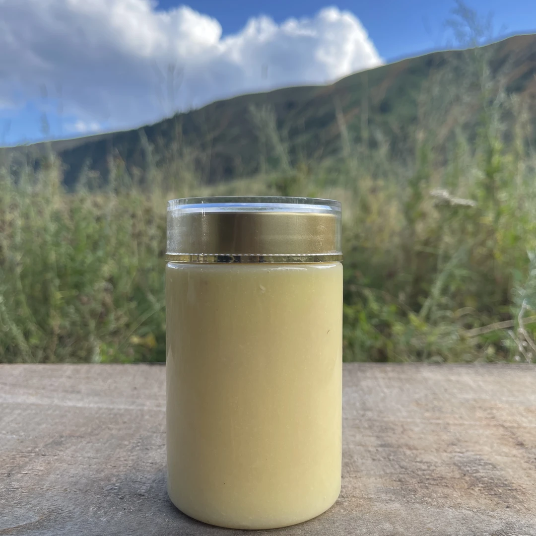 新疆伊犁500g天山黑蜂·蜂王浆天然食用