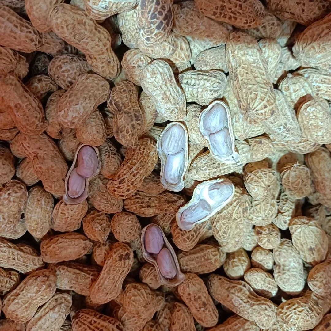 农家水煮晒干盐味花生，带你寻找小时候的味道极力推荐非常好吃