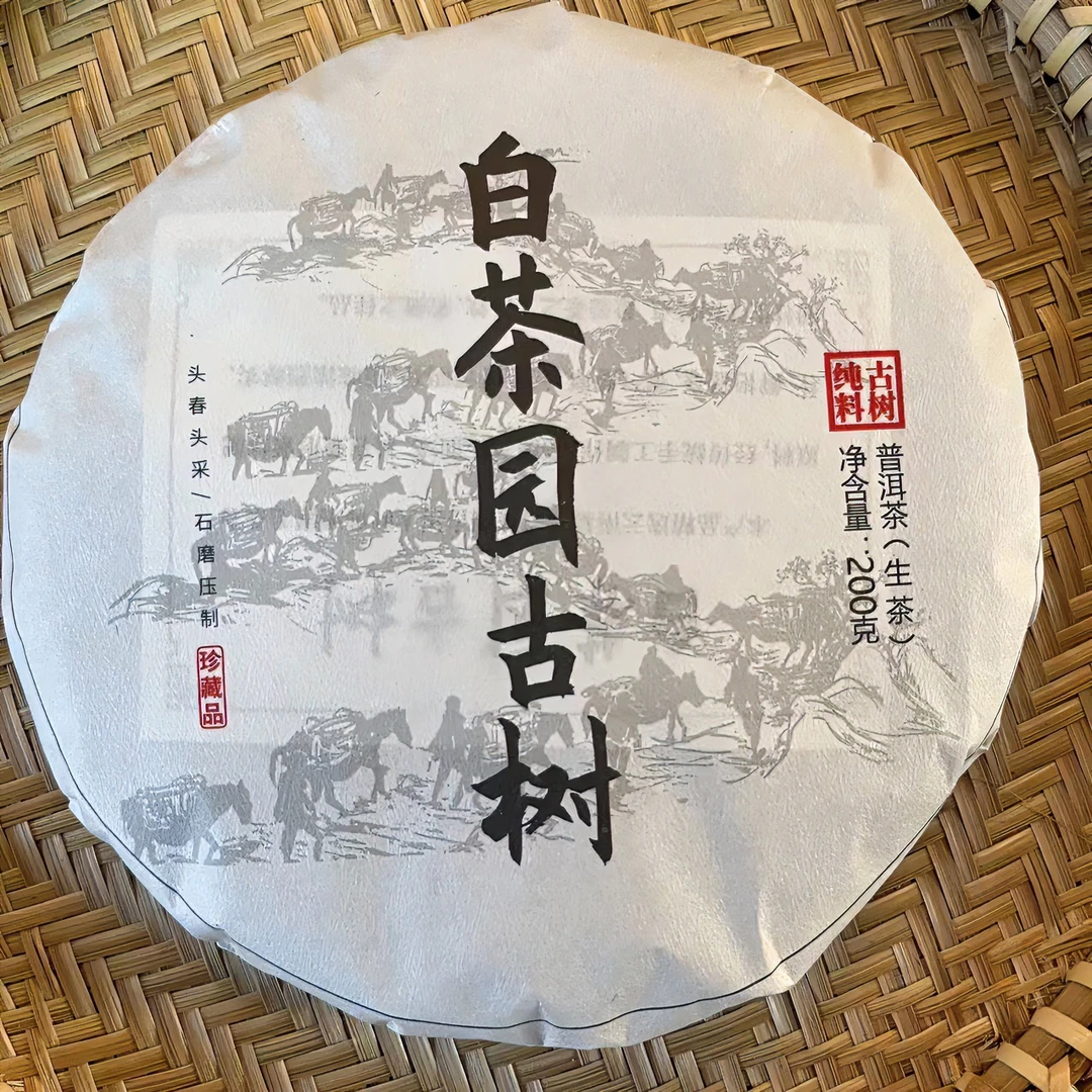 2023年易武白茶园古树春茶 1000g/提 普洱茶 生茶