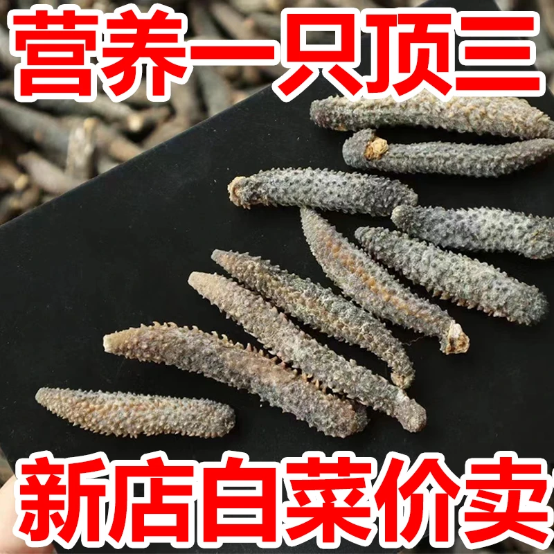 野生淡干海参干货辽宁米刺参海鲜干货大连干货天然营养珍品水产