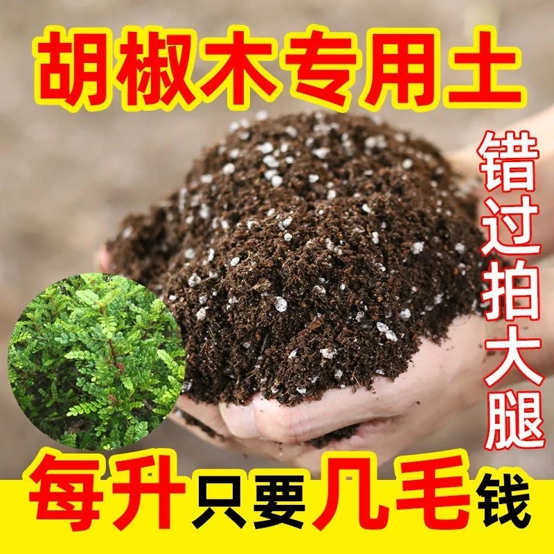 胡椒木专用进口泥炭营养土疏松透气养花种菜泥土多肉土绿植养花土
