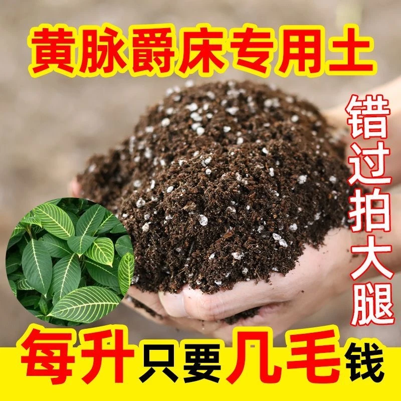 黄脉爵床专用进口泥炭营养土疏松透气养花种菜泥土多肉绿植养花土