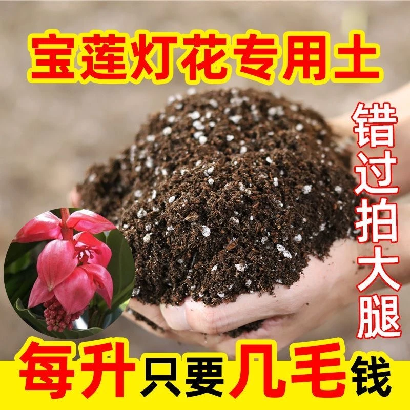 宝莲灯花专用进口泥炭营养土疏松透气养花种菜泥土多肉绿植养花土