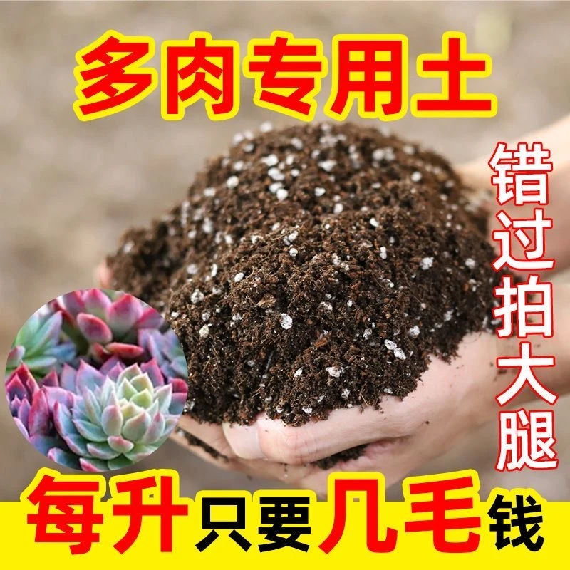 多肉专用土有机肥营养土种花多肉植物营养土壤养花肥料通用种植土