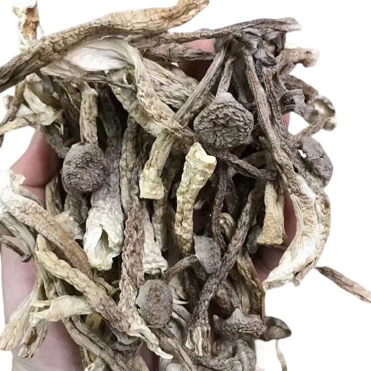 【无干燥剂、无托盘、净重发货】鹿茸菇炖汤小炒均可干货密封干净