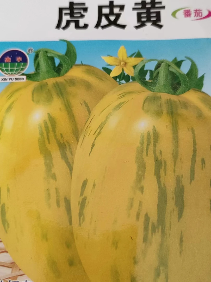 虎皮黄柿子籽400粒左右