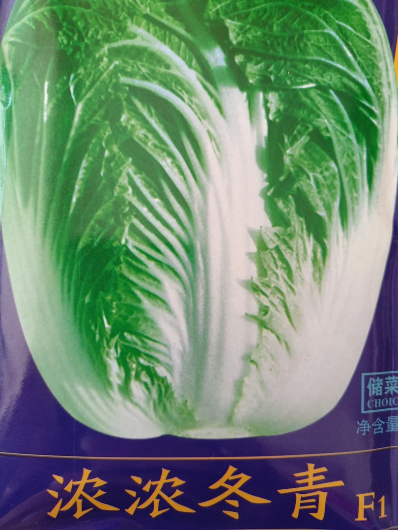 浓浓冬青白菜籽50克