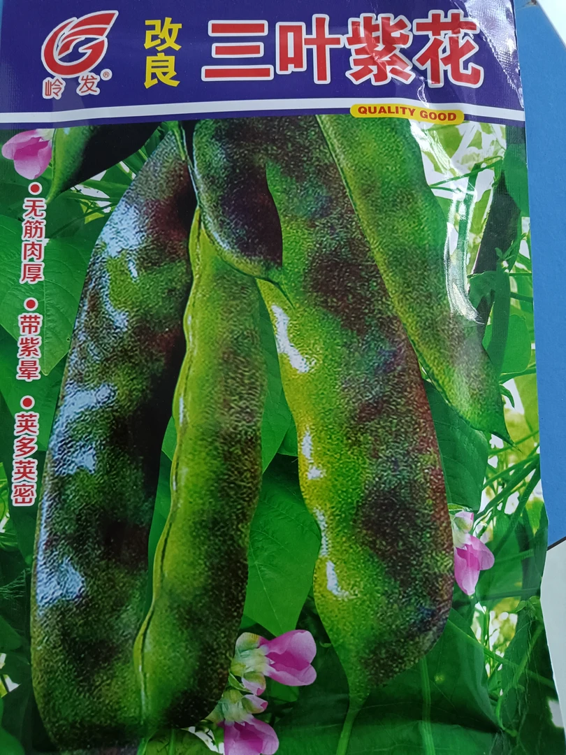 三叶紫花豆角籽50克（发2袋）