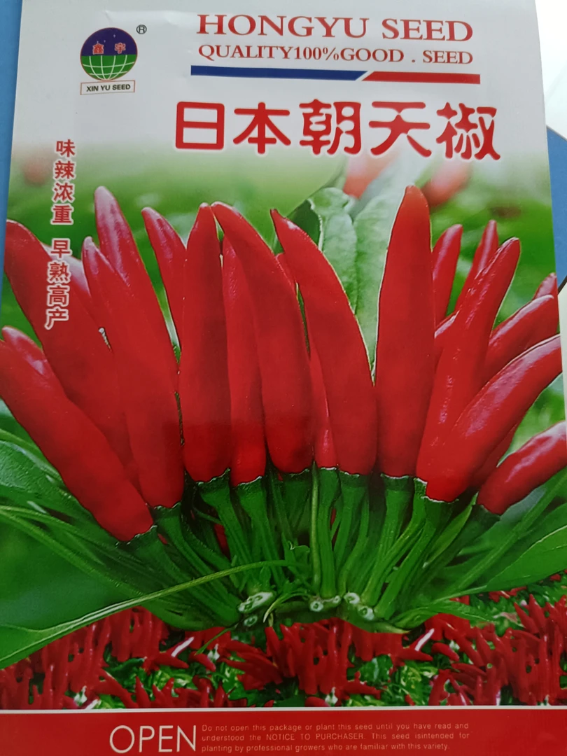 朝天椒种子500粒
