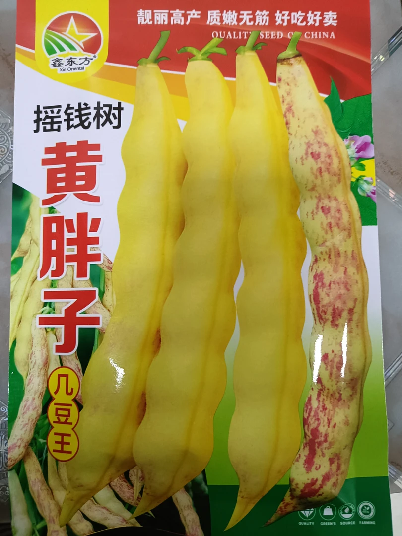 摇钱树黄胖子几豆王豆角籽50克