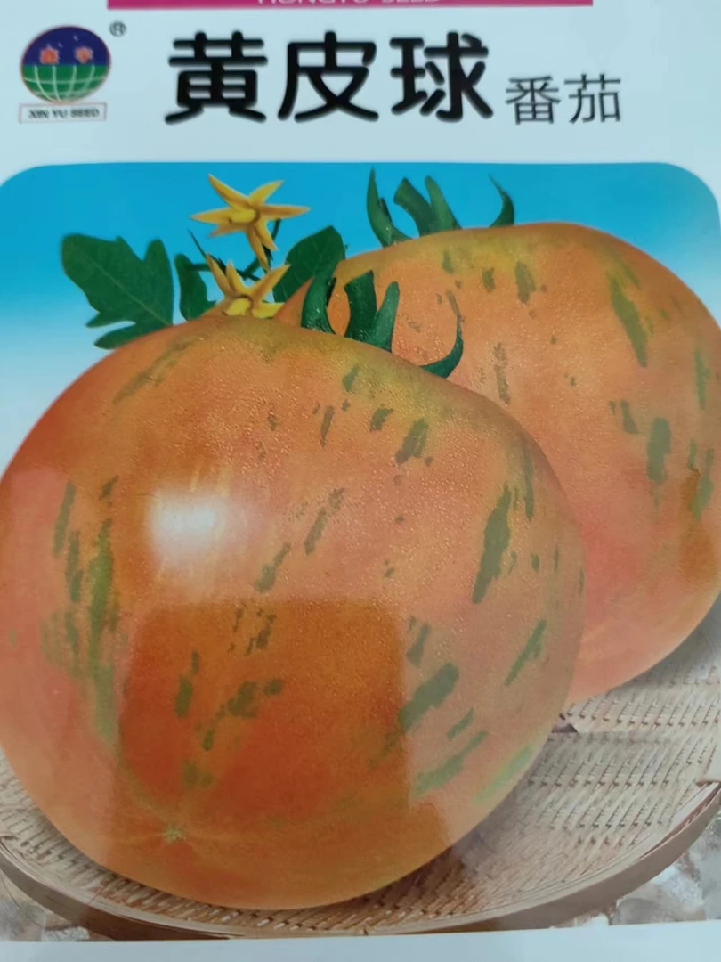 鑫宇黄皮球柿子籽