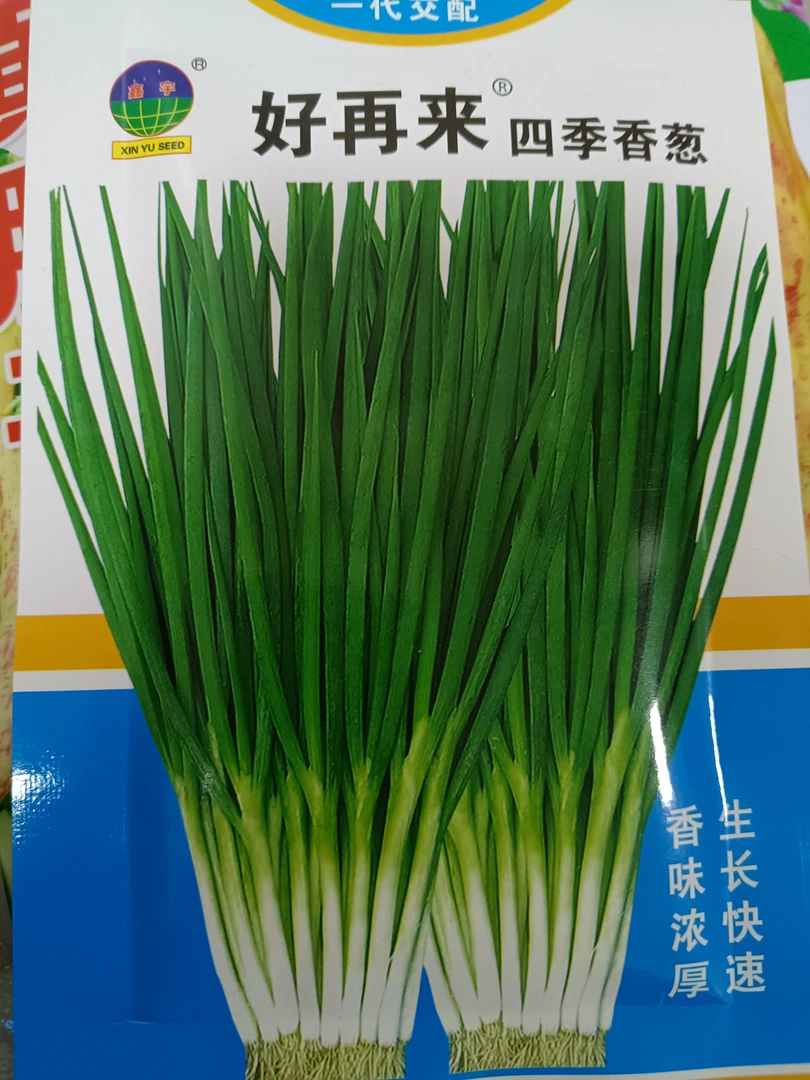好再来四季香葱籽