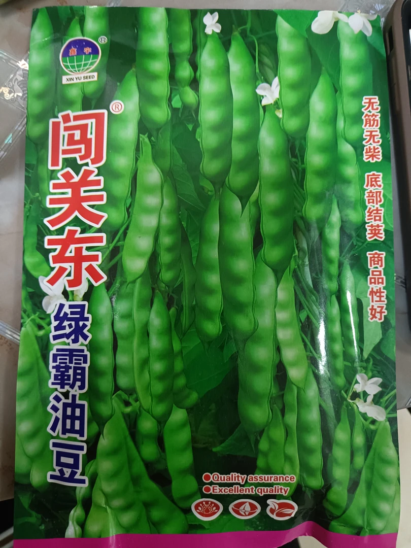 闯关东绿霸油豆角籽100克